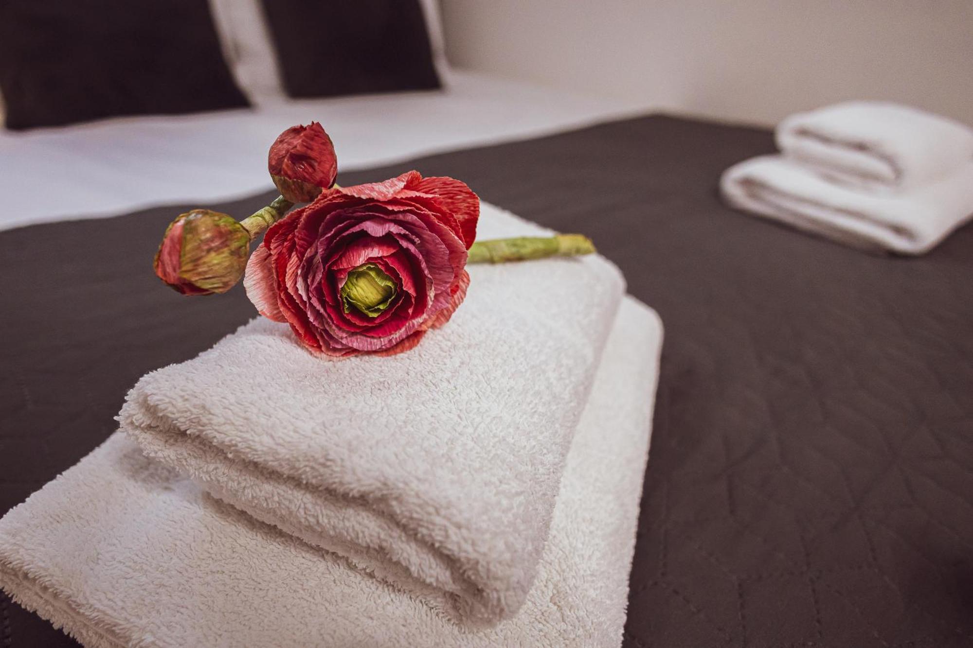 Bg Exclusive Suites Belgrad Zewnętrze zdjęcie